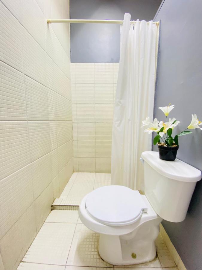 Alto Hostel Mexico City Ngoại thất bức ảnh