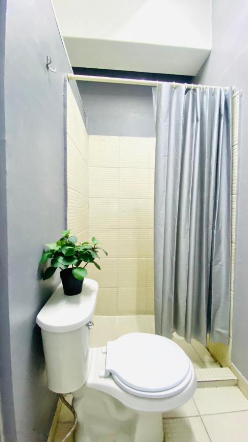 Alto Hostel Mexico City Ngoại thất bức ảnh