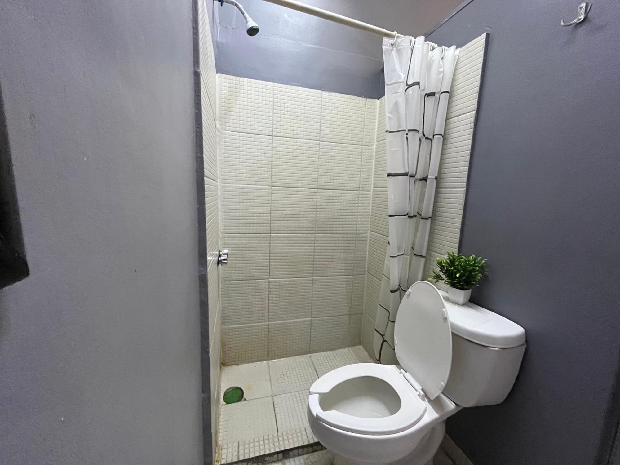 Alto Hostel Mexico City Ngoại thất bức ảnh