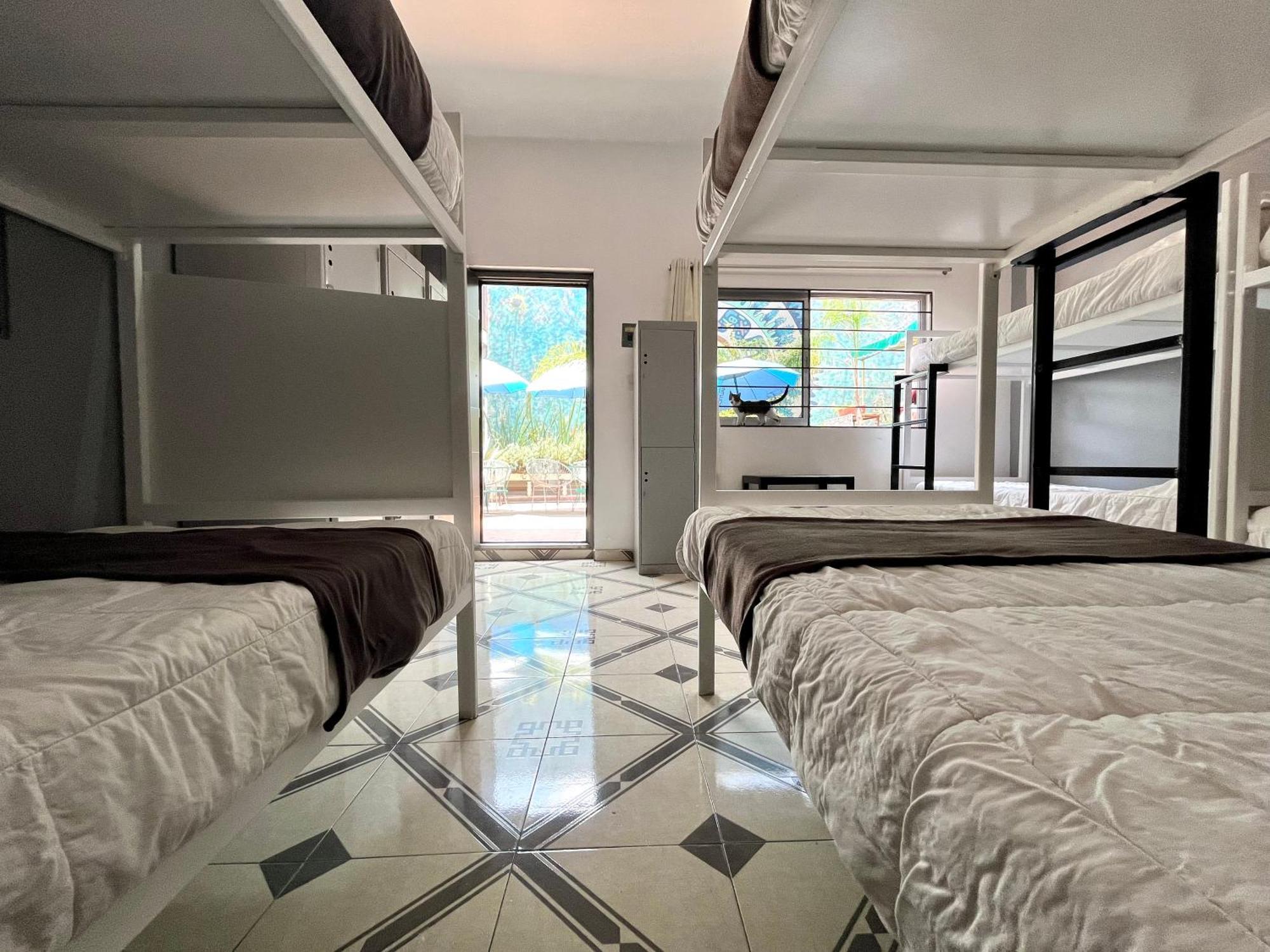 Alto Hostel Mexico City Ngoại thất bức ảnh