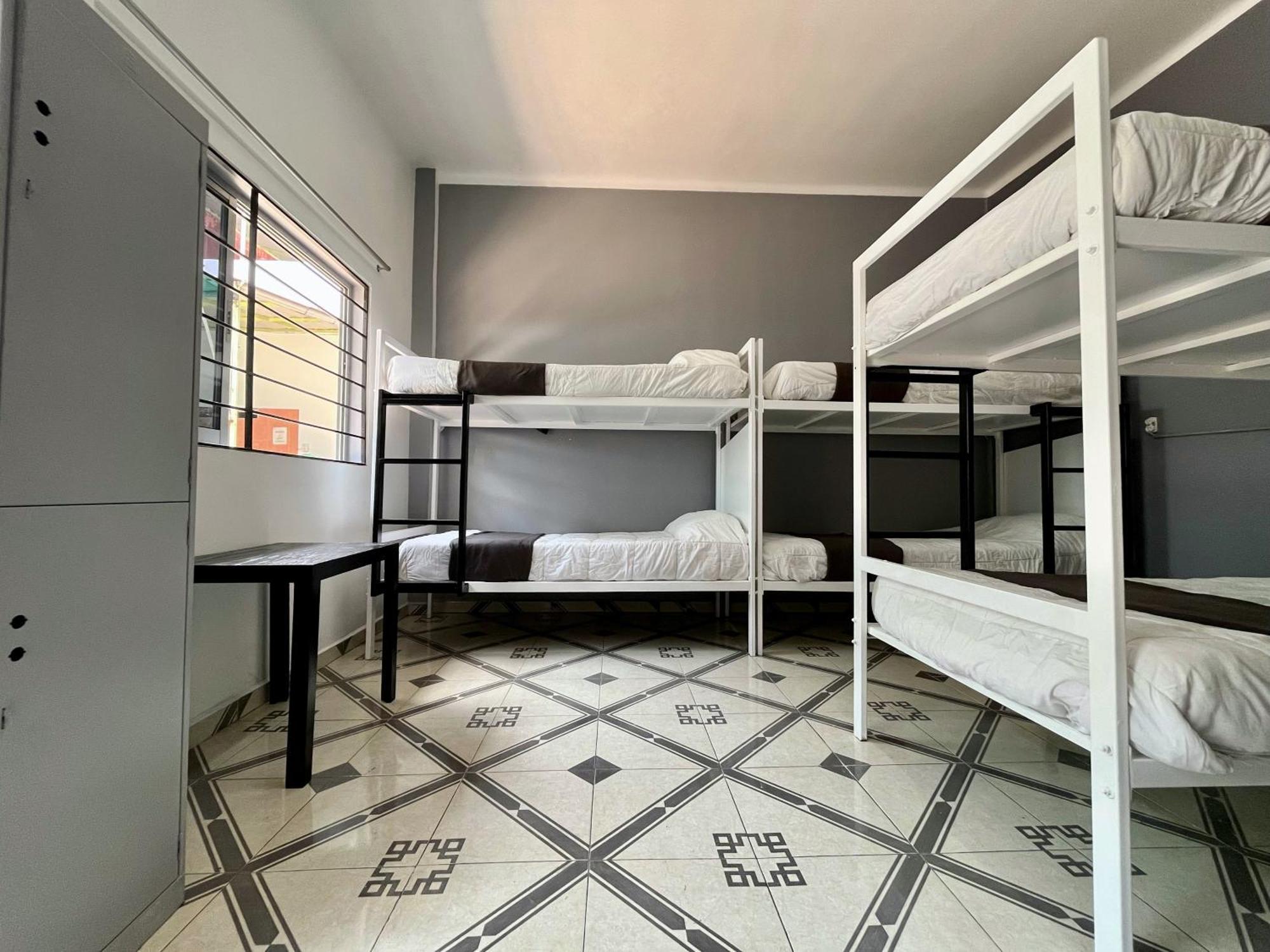 Alto Hostel Mexico City Ngoại thất bức ảnh